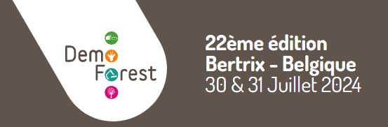 Demo Forest 2024